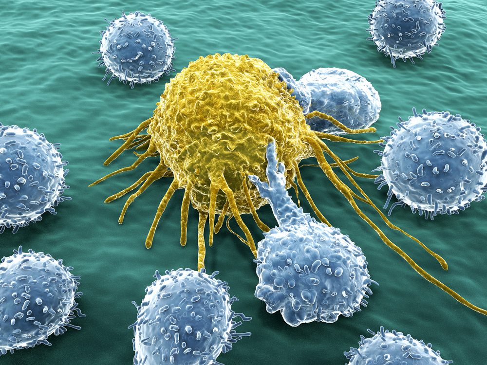 Iodine Immunity